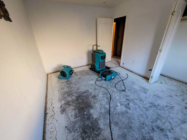  Denver, IA Water damage restoration Pros