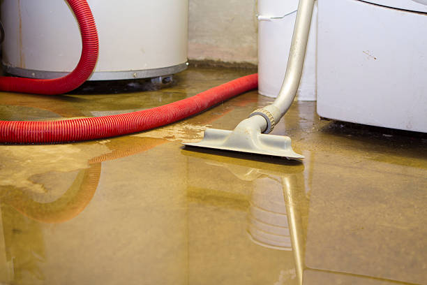 Best Flooded house restoration  in Denver, IA