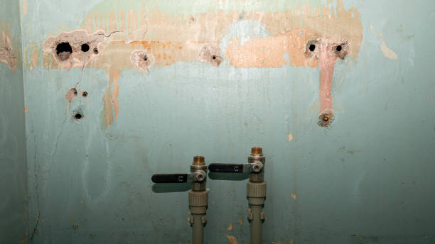 Best Flood damage cleanup  in Denver, IA
