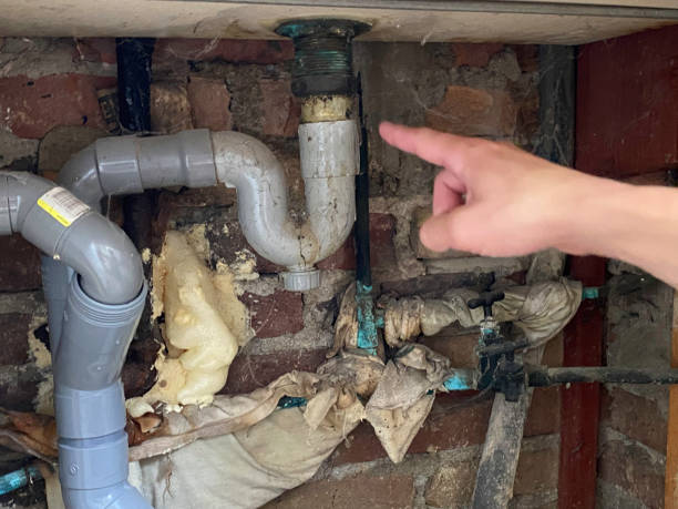 Best Water damage restoration near me  in Denver, IA