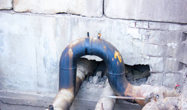 Best Water damage contractors near me  in Denver, IA