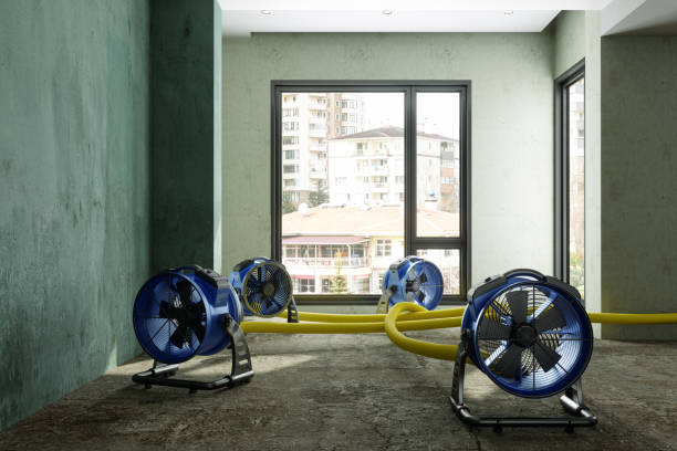 Best Fire Damage Restoration  in Denver, IA