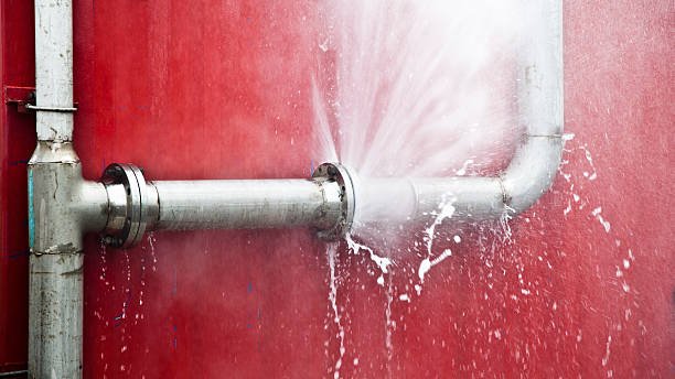 Best Fire Damage Restoration  in Denver, IA