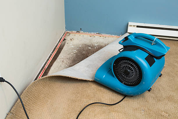 Best Fire Damage Restoration  in Denver, IA